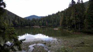 Carpathian Gölü Synevyr 'in insansız hava aracı görüntüleri