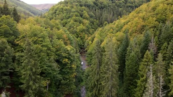 Veduta aerea delle montagne dei Carpazi — Video Stock