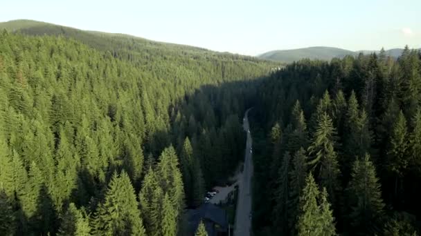 Aerial view of road in mountains pine tree forest — Stock Video