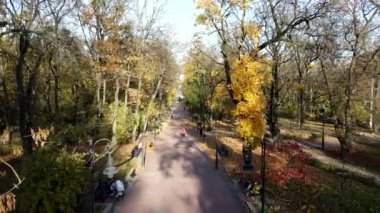 Sonbahar lviv şehir parkının manzarası