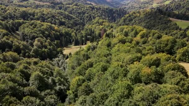 Veduta aerea delle montagne dei Carpazi — Video Stock