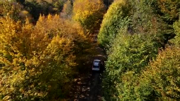 Conceito de viagem de carro seguindo carro por estrada floresta outono — Vídeo de Stock