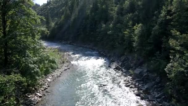 Vue sur la rivière de montagne ukrainienne à la journée ensoleillée d'été — Video