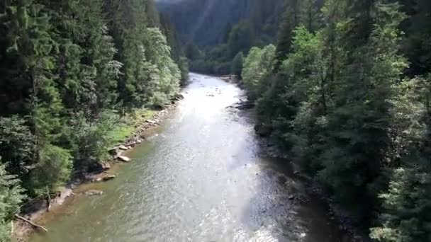 Rafting à la montagne rivière été journée ensoleillée — Video