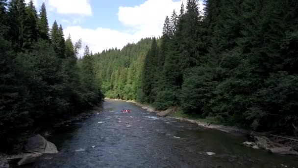 Rafting à la montagne rivière été journée ensoleillée — Video