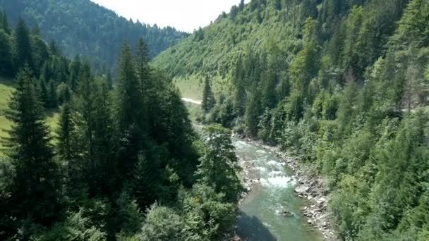 Vue aérienne du ruisseau de la rivière de montagnes dans la forêt — Video