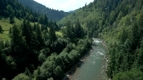 Vue aérienne du ruisseau de la rivière de montagnes dans la forêt — Video