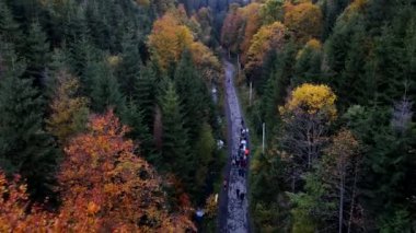 Dağlarda sonbahar yürüyüşü patikası.