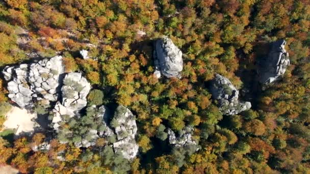 Εναέρια άποψη του φθινοπώρου dovbush βράχους σε ουκρανικά καρπαθικά βουνά — Αρχείο Βίντεο