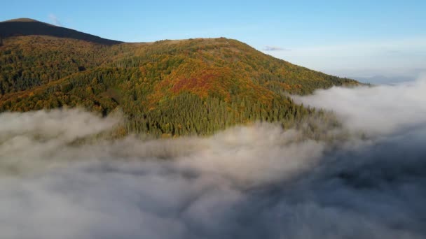 Vista aerea delle montagne carpatiche autunnali sopra le nuvole — Video Stock