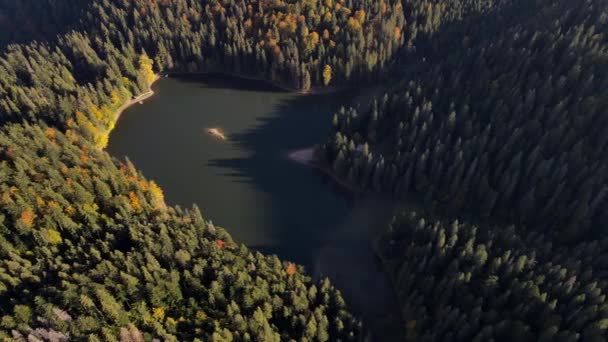 มุมมองทางอากาศของทะเลสาบ Synevyr ในภูเขา Carpathian — วีดีโอสต็อก