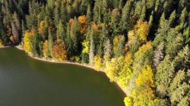 Carpathian dağlarındaki sinevyr gölünün havadan görünüşü