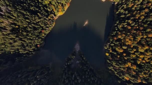 Luftaufnahme des Synevyr-Sees in den Karpaten — Stockvideo