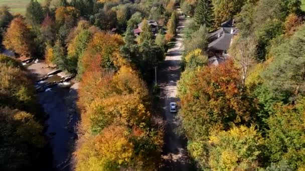 Koncepcja Podróży Samochodem Samochód Jesienią Las Droga Przestrzeń Kopia — Wideo stockowe