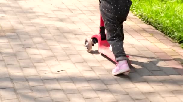 Boy riding kick scooter at public park — Stockvideo