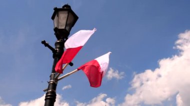 Mavi gökyüzü arka planında dalgalanan poland bayrağı
