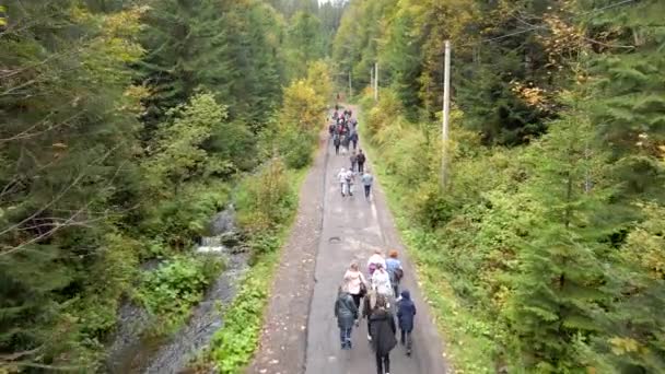 Gente cantada excursionistas caminando por sendero en el bosque — Vídeos de Stock