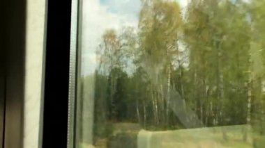 Tren penceresinden doğanın görüntüsü