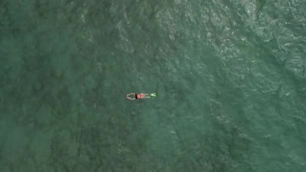 Над головой вид женщины, купающейся в ластах в море — стоковое видео