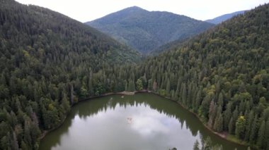 Carpathian Gölü Synevyr 'in insansız hava aracı görüntüleri