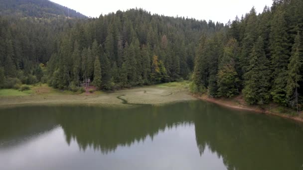 Turistas excursionistas disfrutando de las montañas vista lago en las montañas de los Cárpatos de Ucrania — Vídeo de stock