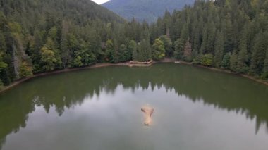 Carpathian dağlarındaki sinevyr gölünün havadan görünüşü