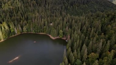 Carpathian Gölü Synevyr 'in insansız hava aracı görüntüleri