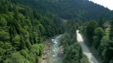 Ukrayna yaz güneşli bir günde Ukrayna ormanındaki nehir deresinin havadan görünüşü