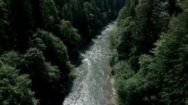 Ukrayna yaz güneşli bir günde Ukrayna ormanındaki nehir deresinin havadan görünüşü