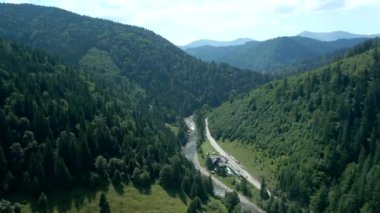Ukrayna yaz güneşli bir günde Ukrayna ormanındaki nehir deresinin havadan görünüşü