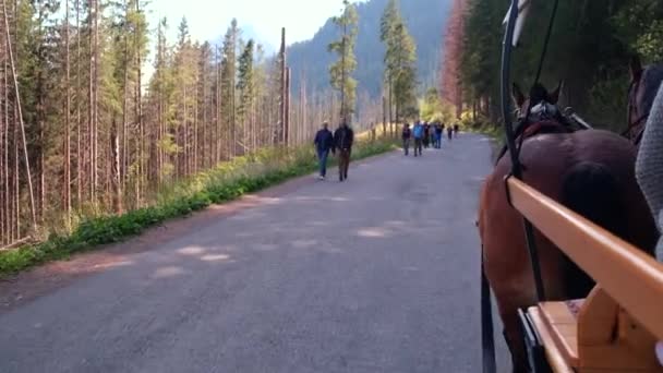 Attractie Paardrijden Naar Morskie Oko Polen Wandelconcept — Stockvideo