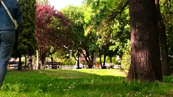 Mujer Sentada Parque Público Verano Bajo Árbol Lectura Libro Copia — Vídeos de Stock