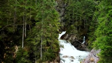 Polonya 'daki Morskie Oko yolunda şelale var.