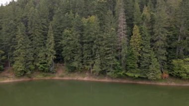 Ukrayna Karpatya dağlarındaki göl kıyısının havadan görünüşü