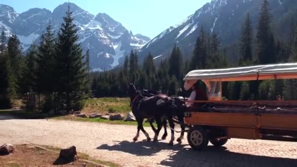 Atracción Caballo Paseo Morskie Oko Polonia Concepto Senderismo — Vídeo de stock