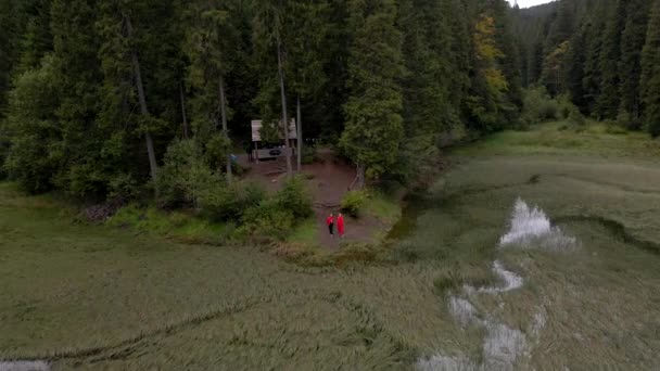 穿着红色外套的女徒步旅行者欣赏着乌克兰喀尔巴阡湖地标 — 图库视频影像