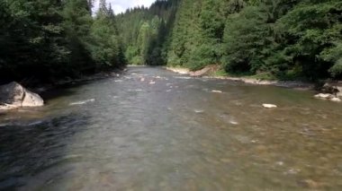 Güneşli yaz gününde Ukrayna dağ nehri manzarası