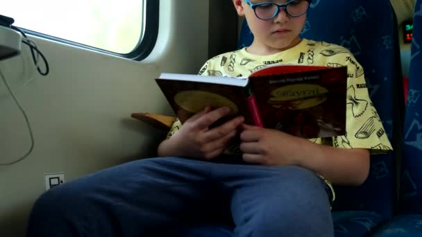 Bambino Occhiali Lettura Libro Treno Stile Vita — Video Stock