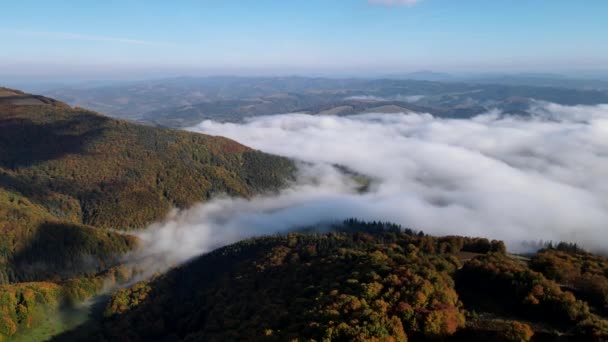 Vue Aérienne Des Montagnes Carpates Automne Dessus Des Nuages Belle — Video