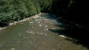 Dağ nehrinin havadan görünüşü. Rafting ekstrem spor. Tekne derede yüzüyor. Ukrayna Karpatı