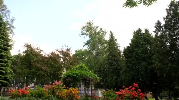 Blick Auf Öffentlichen Stadtpark Mit Blühenden Blumen Windiges Wetter — Stockvideo