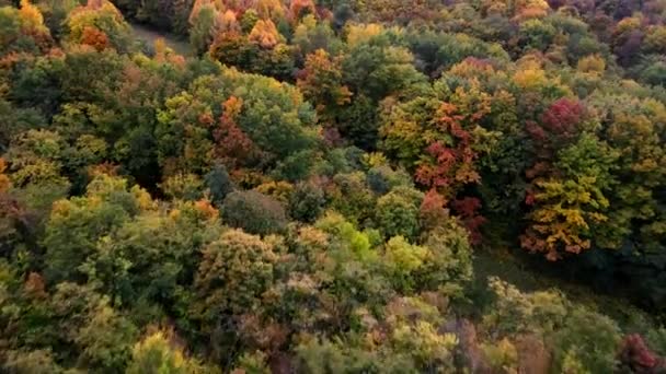 Lviv市无人驾驶飞机射击的秋天色彩 — 图库视频影像