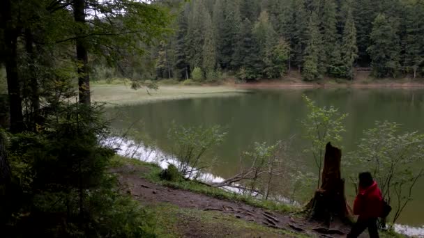 Mujer Excursionista Abrigo Rojo Caminando Por Sendero Alrededor Del Lago — Vídeos de Stock