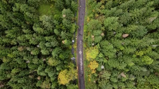 Personas Cantadas Excursionistas Caminando Por Sendero Espacio Copia Del Bosque — Vídeos de Stock