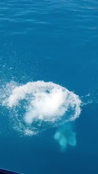 Homem Pulando Barco Para Mar Férias Verão — Vídeo de Stock