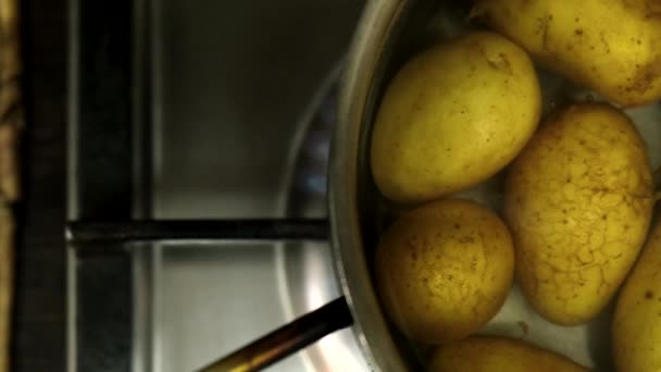 Potatoes Pot Kitchen Stove Close — ストック動画