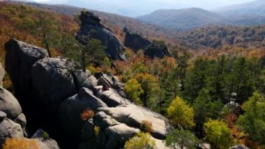 Karpat Dağları 'ndaki güvercin çalıları Ukrayna sonbahar mevsimi çift gezginleri