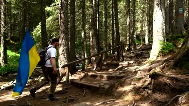 カルパチア山脈の森林歩道をウクライナ国旗が歩く男夏のハイキングのコンセプト — ストック動画