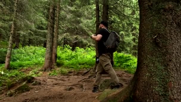 Мандрівник Рюкзаком Ходить Дорозі Украинському Карпатському Лісі — стокове відео