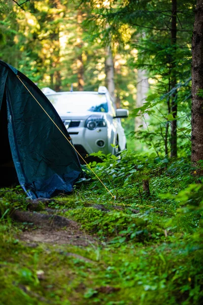 Σκηνή Suv Αυτοκίνητο Στο Δάσος Καλοκαίρι — Φωτογραφία Αρχείου